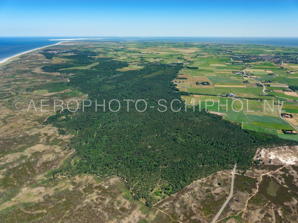 luchtfoto |  Texel, Texelse Bos, De Dennen, Nationaal Park Duinen van Texel. 
In de 19e eeuw werd besloten de mientgronden rendabeler te maken door de aanleg van weiland en vooral productiebos.  opn. 01/07/2018