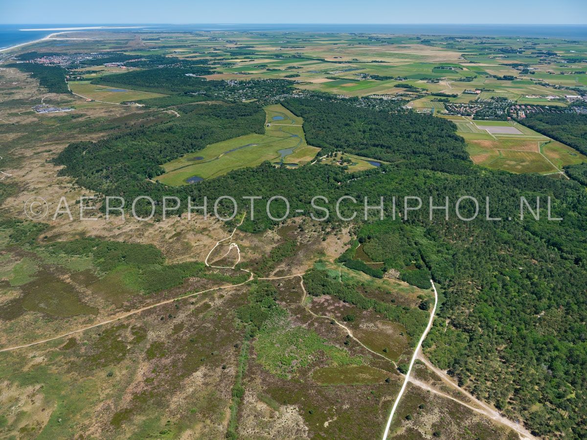 luchtfoto |  Texel, de Dennen, Nationaal Park Duinen van Texel. Het Texelse bos is in het begin van de 20e eeuw aangeplant als productiebos. opn. 01/07/2018